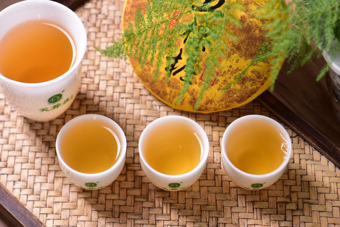 Forgotten Chinese Famous Tea | Wukzhuang: A Millennium-Old Tribute Tea Secretly Preserved by the Nanzhao Royal Family