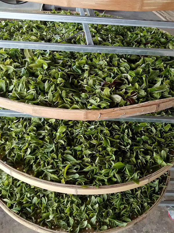Certified Organic Loose Leaf Yunnan Black Tea