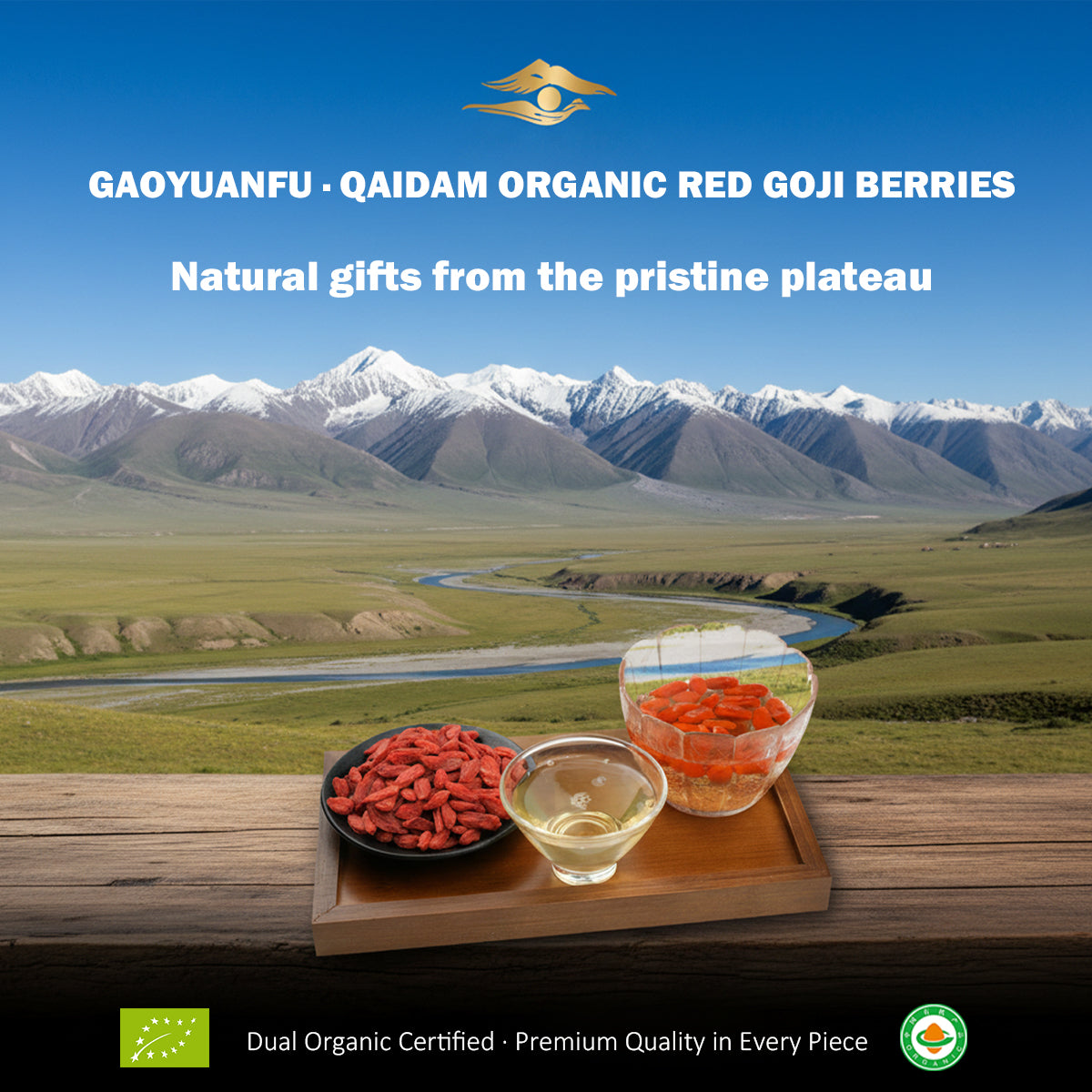 Gaoyuanfu Qaidam Chinese EU organic certified red wolfberry 250g