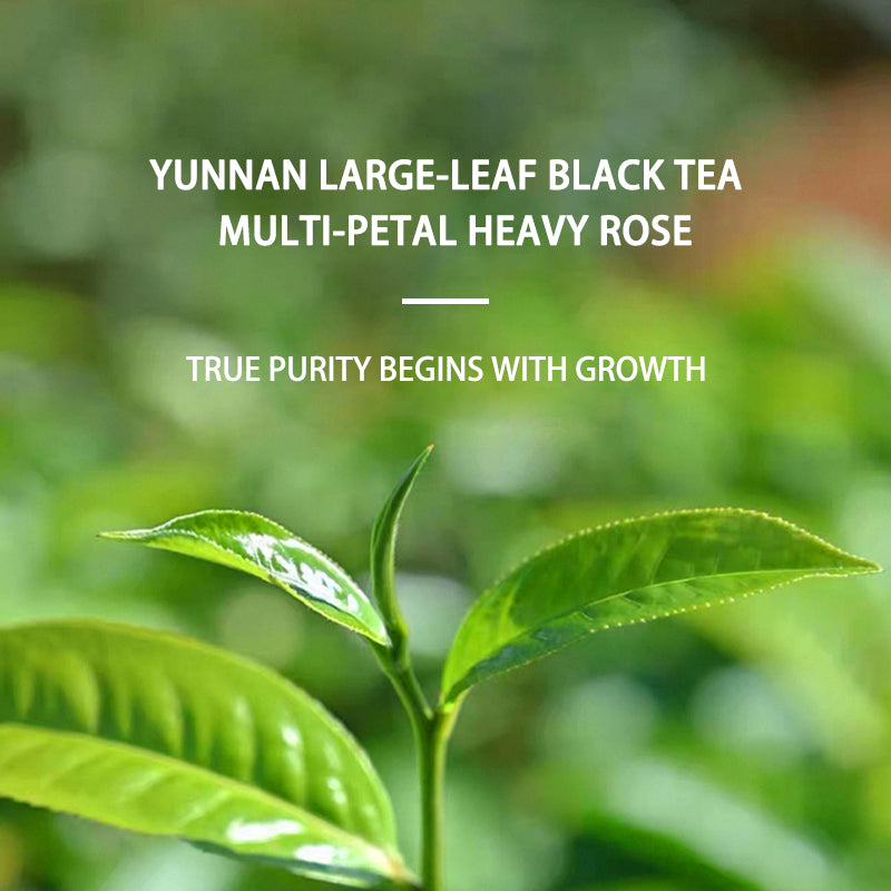 TianYangYi Organic Rose Black Tea, grown on century-old tea 20g