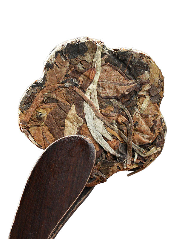 Certified Organic Yunnan White Tea Mini Cake