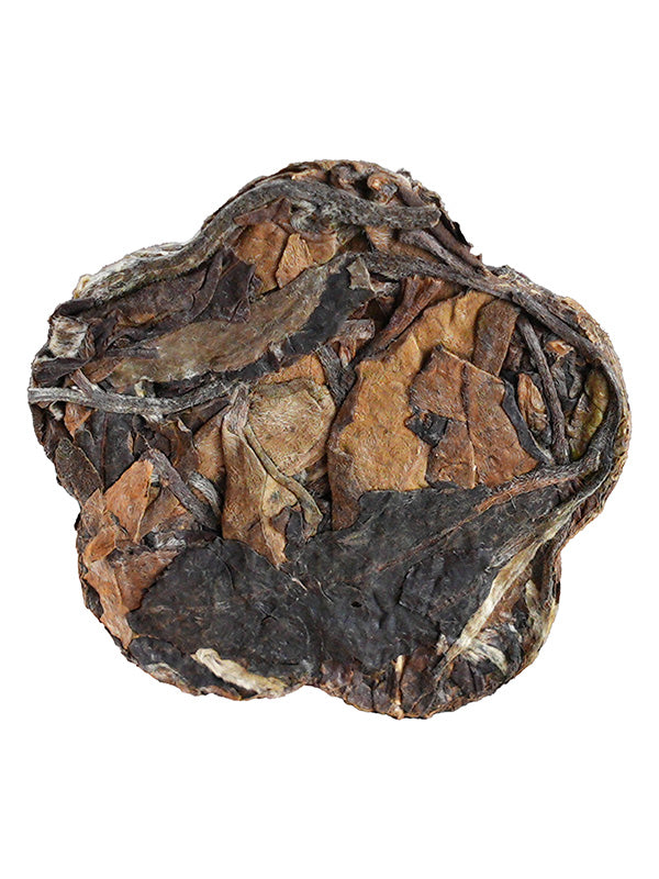 Certified Organic Yunnan White Tea Mini Cake