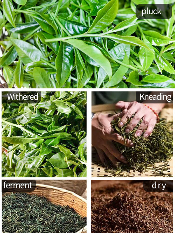 Wild Ancient Tree Yunnan Black Tea