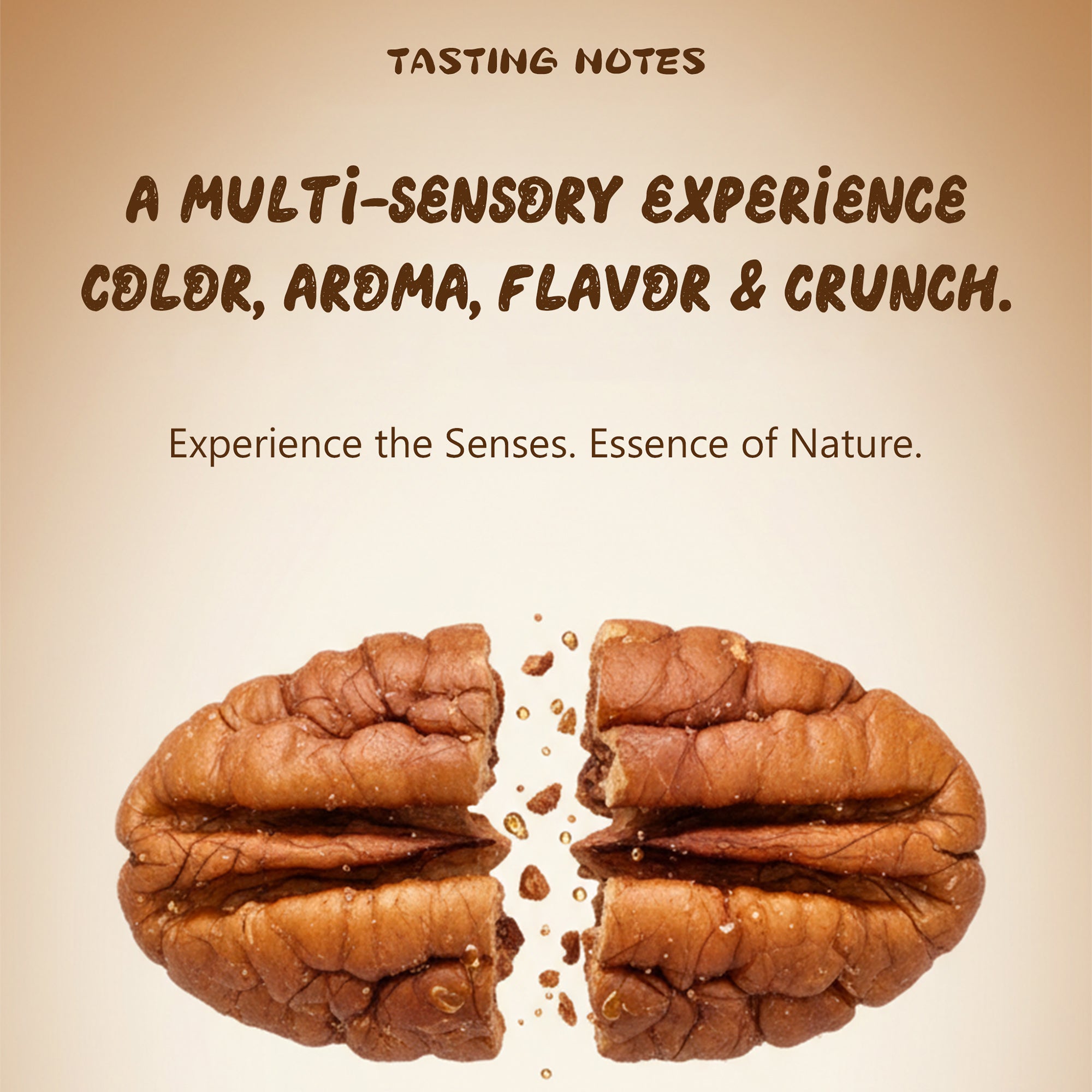 Aijuan Wild Pecan Kernels HuiZhou (SheXian,CHINA)Origin CFCC 210g