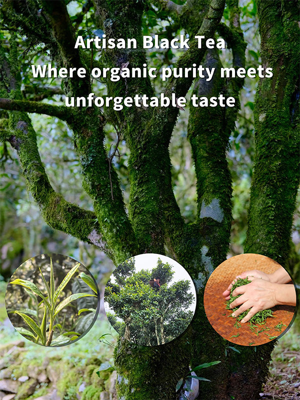Organic Yunnan Ancient Tree Black Tea Cake