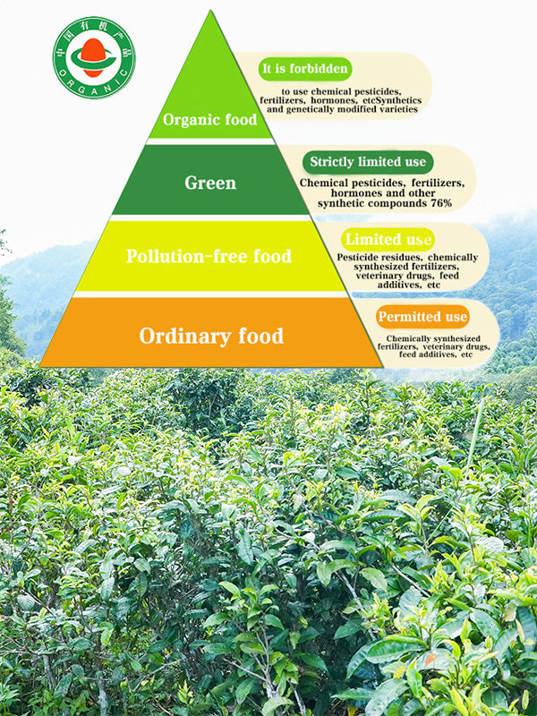 Certified Organic Loose Leaf White Tea