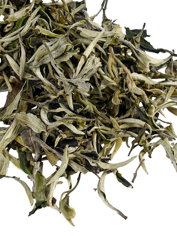 Certified Organic Loose Leaf White Tea