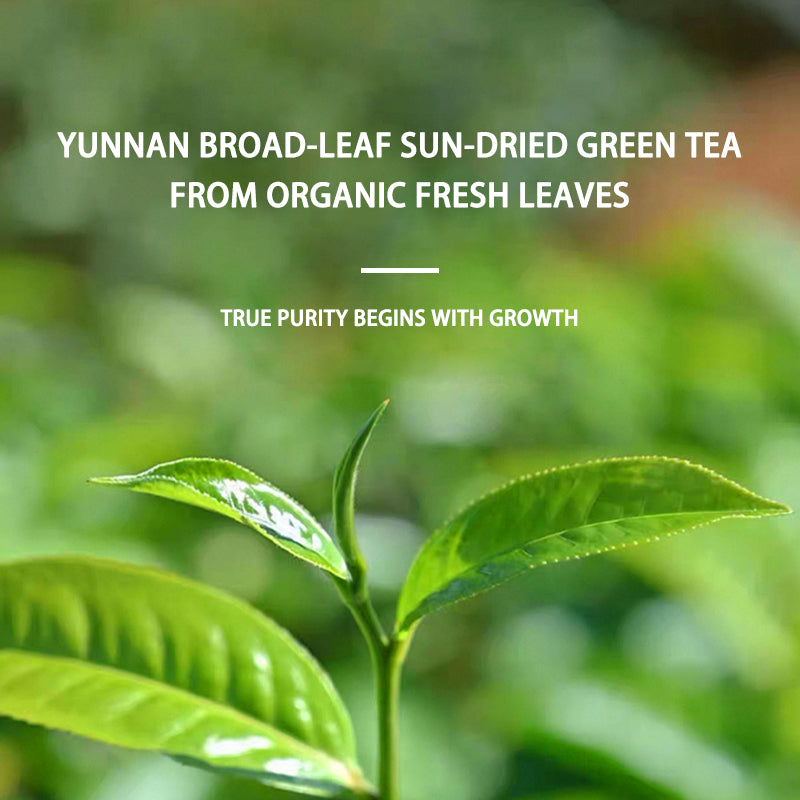 TianYangYi Pu'er raw tea, certified organic by four ccountries ，USDA Organic 50g