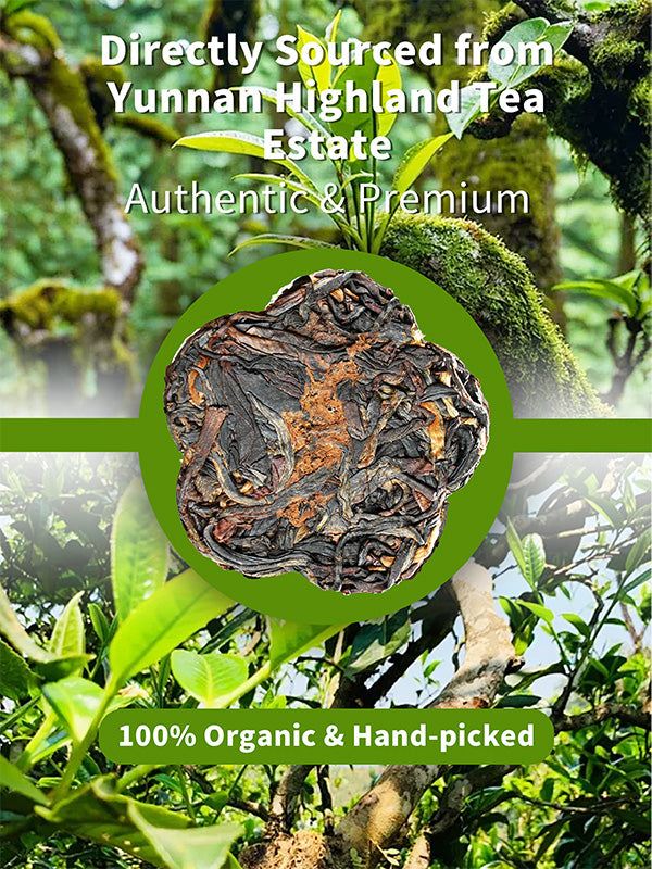 Certified Organic Yunnan Ripe Pu-erh Tea Mini Cake