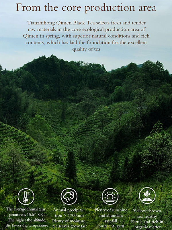 Certified Organic Keemun Black Tea