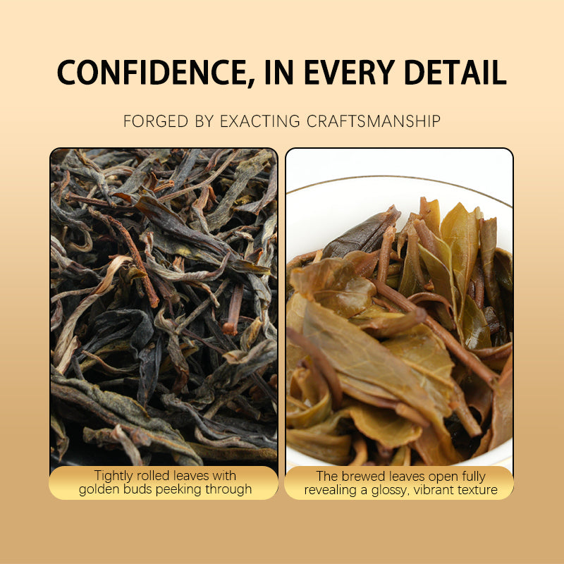 TianYangYi Pu'er raw tea, certified organic by four ccountries ，USDA Organic 50g
