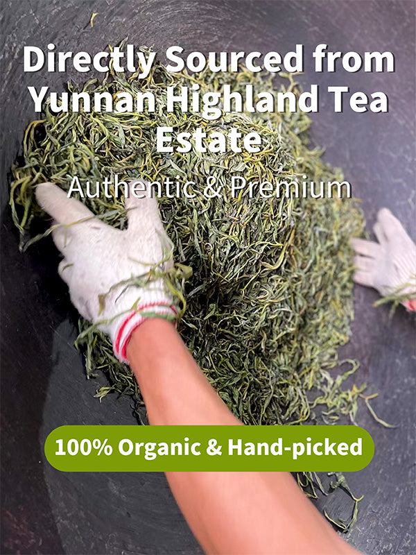 Organic Yunnan Raw Pu-erh Tea Mini Cake
