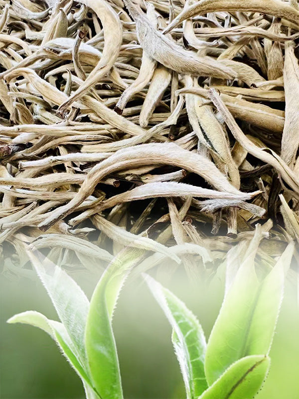 Organic Silver Needle White Tea Cake